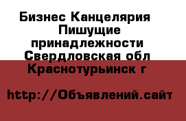 Бизнес Канцелярия - Пишущие принадлежности. Свердловская обл.,Краснотурьинск г.